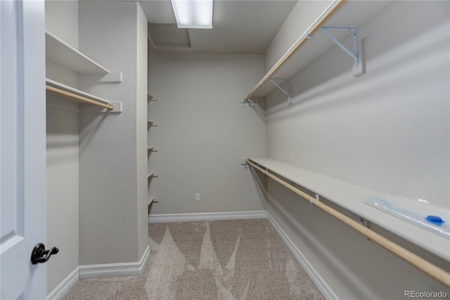 spacious closet with carpet