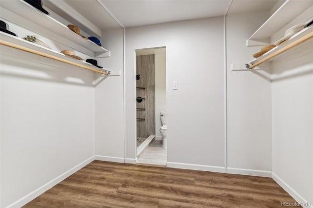 walk in closet featuring hardwood / wood-style floors