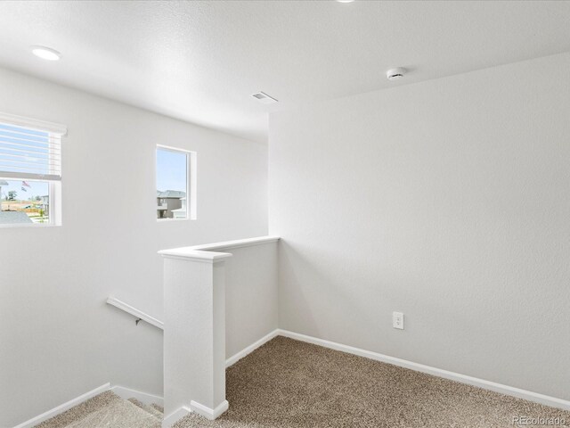 548 97th Ave, Greeley, CO 80631 - photo 24