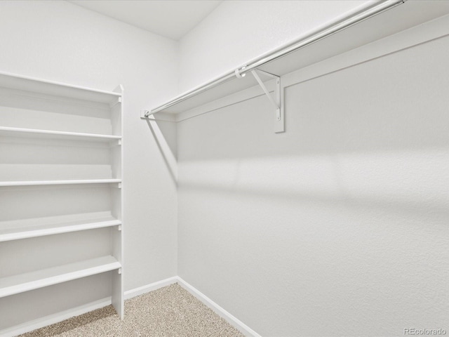 548 97th Ave, Greeley, CO 80631 - photo 29