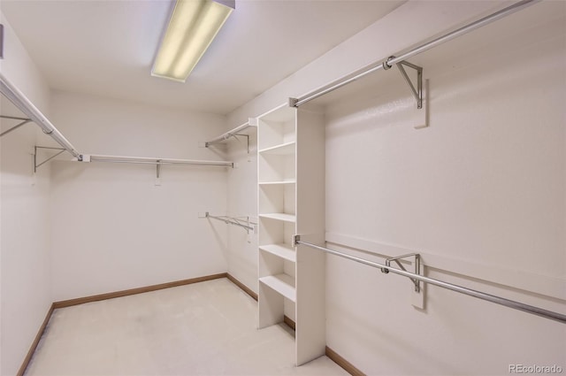 view of spacious closet