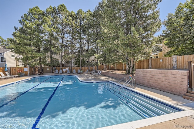 view of pool featuring a patio area