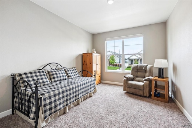 8888 Falcon St, Longmont, CO 80504 - photo 20