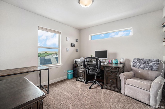 1325 63rd Ave, Greeley, CO 80634 - photo 21