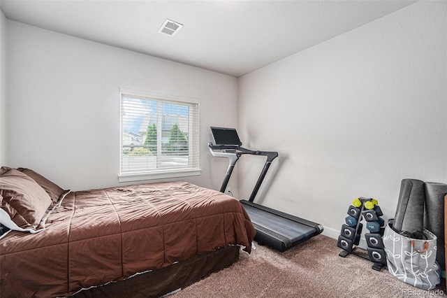 1325 63rd Ave, Greeley, CO 80634 - photo 27