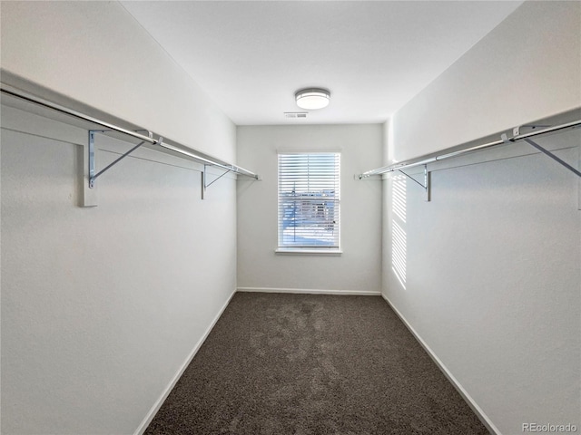 3520 Little Bell Dr, Frederick, CO 80516 - spacious closet featuring dark carpet