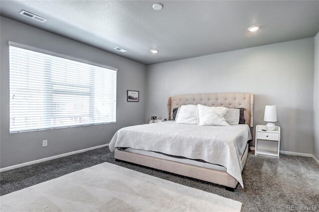 952 Morning Glory Rd, Brighton, CO 80640 - photo 9