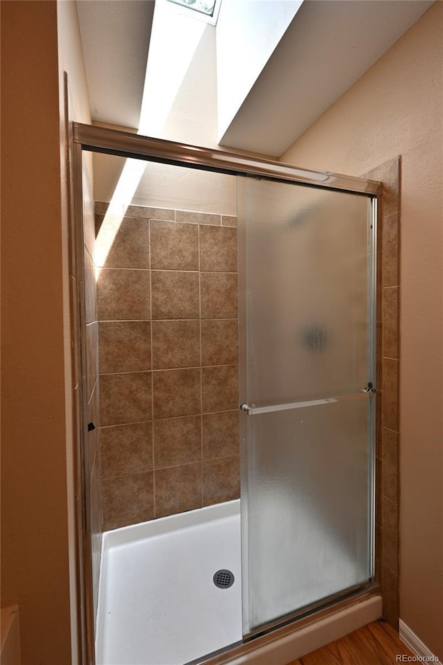 23846 Genesee Village Rd, Golden, CO 80401 - full bathroom with a shower stall, a skylight, and wood finished floors