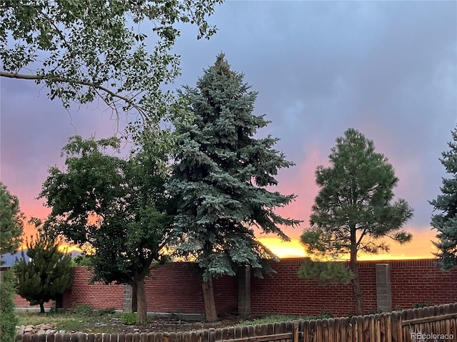 6378 Holman Ct, Arvada, CO 80004 - photo 27