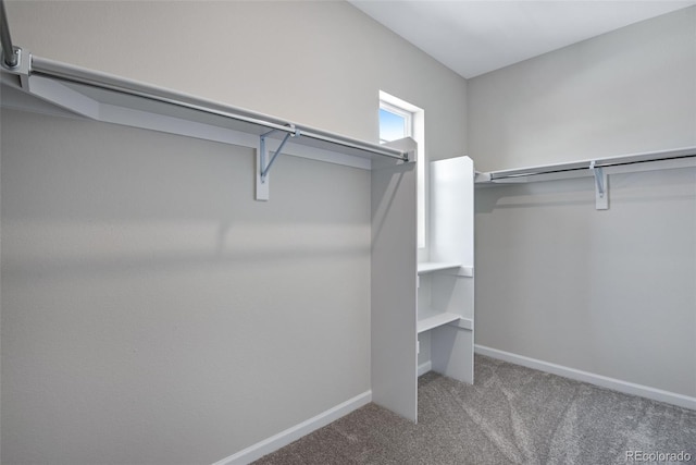 walk in closet with carpet