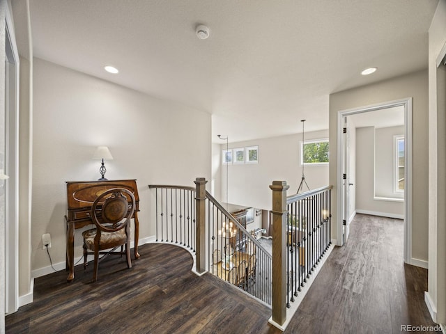 6432 S Robb Ct, Littleton, CO 80127 - hall with an upstairs landing, wood finished floors, baseboards, and recessed lighting