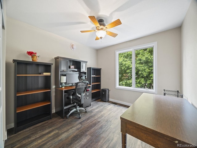 6432 S Robb Ct, Littleton, CO 80127 - office with ceiling fan, dark wood-style flooring, and baseboards