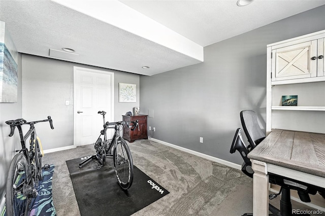 3543 Foxridge Trl, Highlands Ranch, CO 80126 - workout room with carpet flooring and a textured ceiling