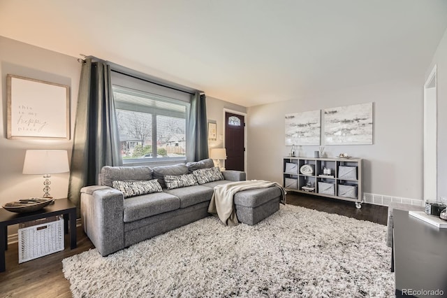 living area with wood finished floors