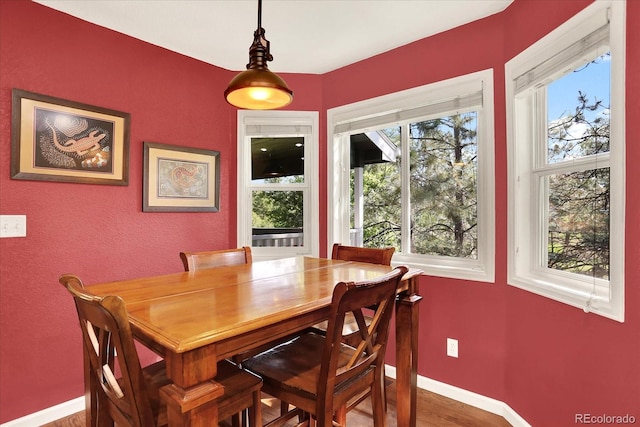 1327 Conifer Pl, Elizabeth, CO 80107 - photo 11