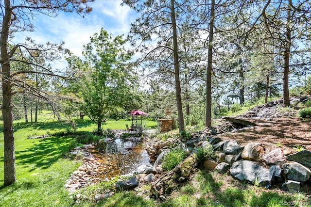 1327 Conifer Pl, Elizabeth, CO 80107 - photo 34