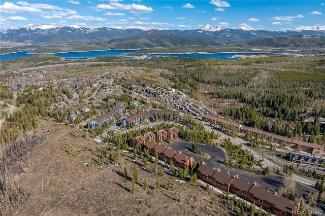 91200 Ryan Gulch Rd Unit 91222, Silverthorne, CO 80498 - view of property location featuring a water and mountain view