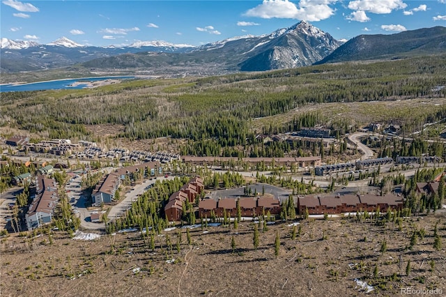 91200 Ryan Gulch Rd Unit 91222, Silverthorne, CO 80498 - view of mountain background with a large body of water