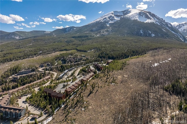 91200 Ryan Gulch Rd Unit 91222, Silverthorne, CO 80498 - mountain view