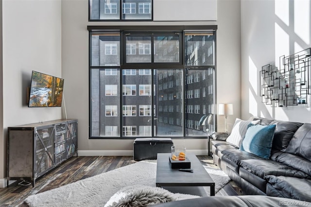 living room with dark hardwood / wood-style floors