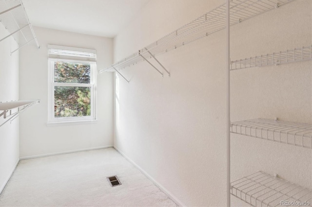 spacious closet with carpet