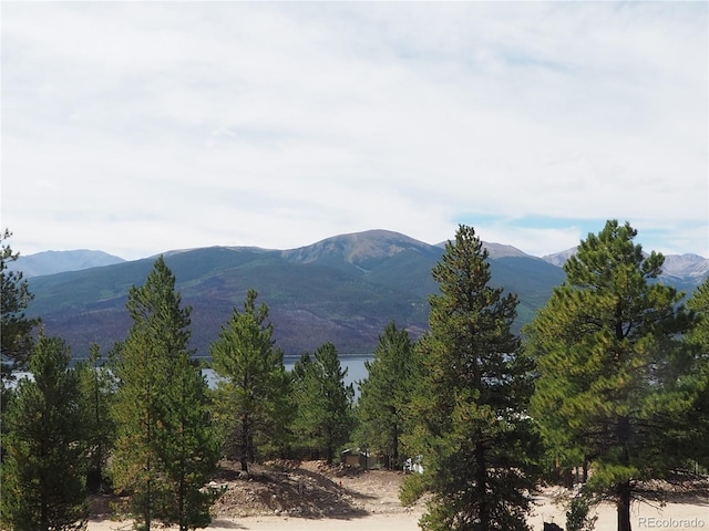 Listing photo 3 for 9 Twin Peaks Dr, Twin Lakes CO 81251