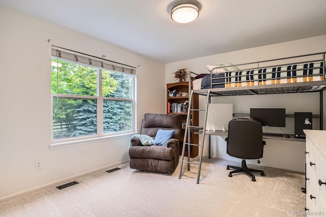 7420 S Houstoun Waring Cir, Littleton, CO 80120 - office area with carpet flooring and baseboards