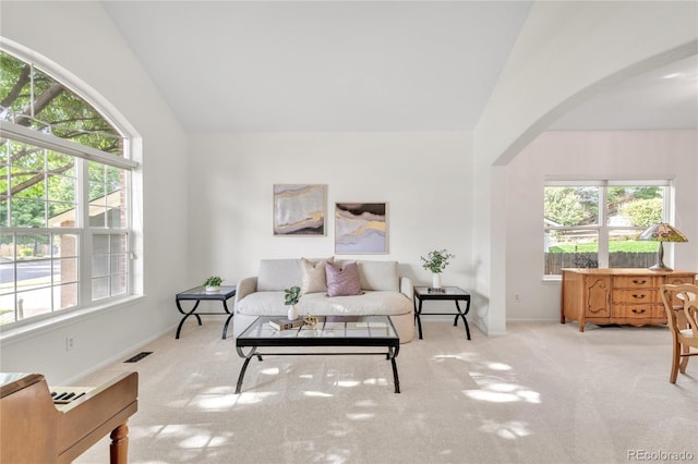 7420 S Houstoun Waring Cir, Littleton, CO 80120 - living room featuring lofted ceiling, arched walkways, plenty of natural light, and carpet