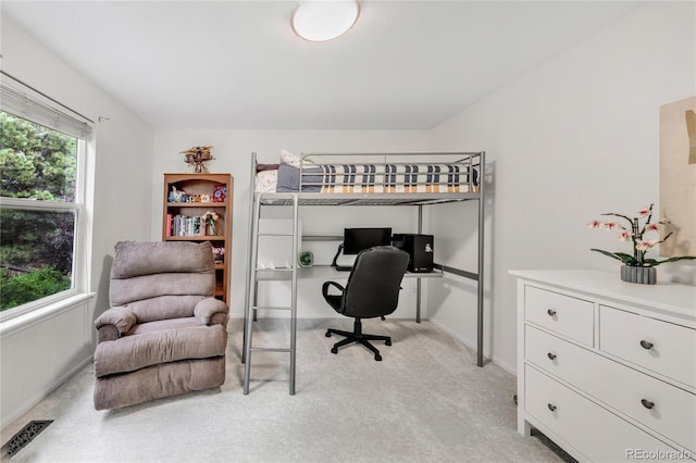 7420 S Houstoun Waring Cir, Littleton, CO 80120 - bedroom with a desk and light carpet
