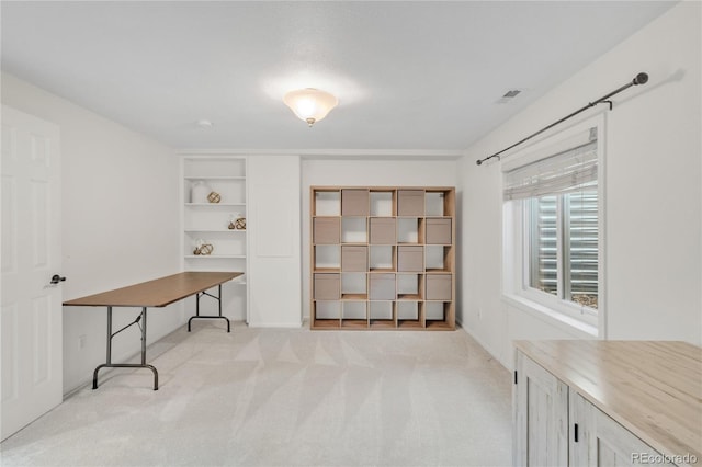 7420 S Houstoun Waring Cir, Littleton, CO 80120 - office featuring light colored carpet and built in features