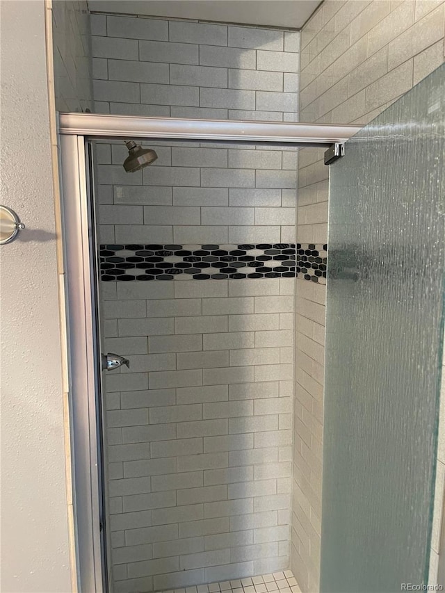 4115 S Vincennes Ct, Denver, CO 80237 - bathroom view of a shower stall