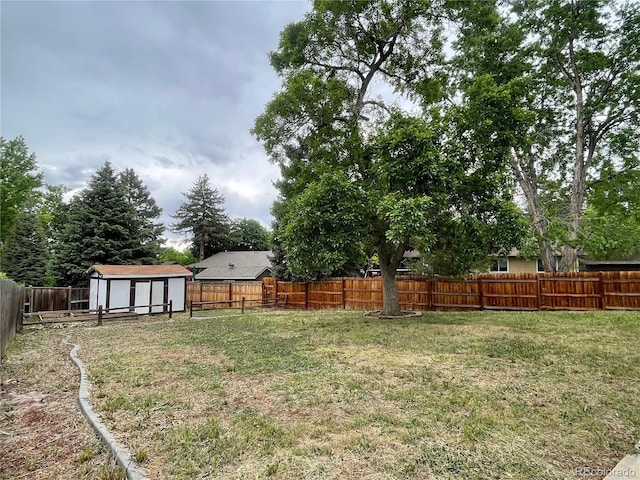 4115 S Vincennes Ct, Denver, CO 80237 - view of yard