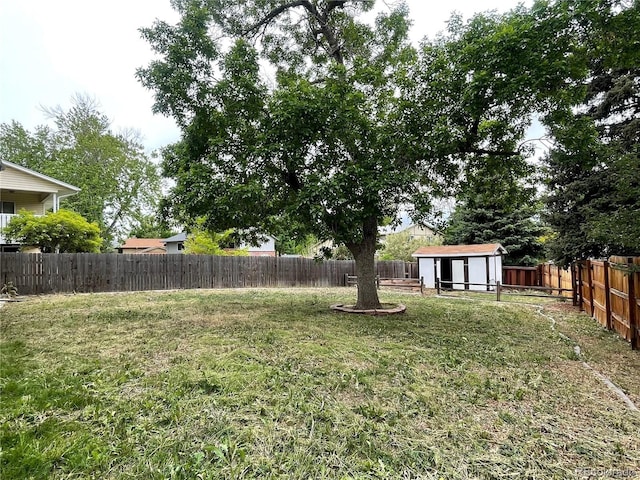 4115 S Vincennes Ct, Denver, CO 80237 - view of yard