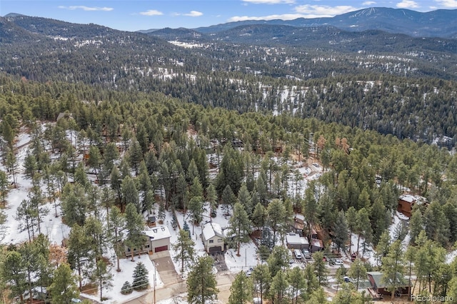 birds eye view of property featuring a mountain view