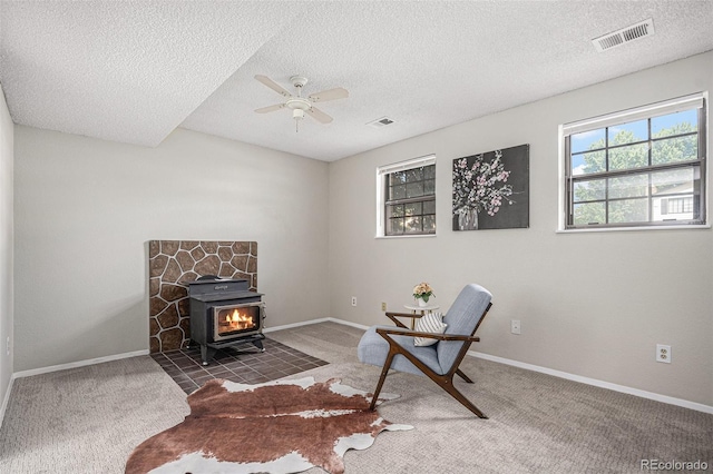 329 S 30th Ave, Brighton, CO 80601 - photo 16