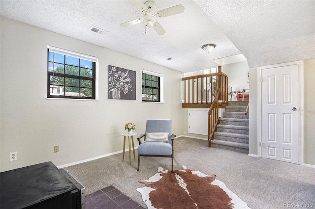 329 S 30th Ave, Brighton, CO 80601 - photo 18