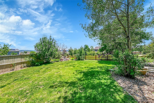 16500 Hitching Post Cir, Parker, CO 80134 - view of fenced backyard