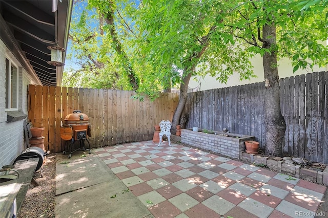 2955 N Gilpin St, Denver, CO 80205 - fenced backyard featuring a patio area and area for grilling