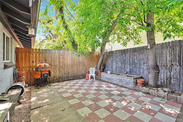 2955 N Gilpin St, Denver, CO 80205 - fenced backyard with grilling area and a patio area