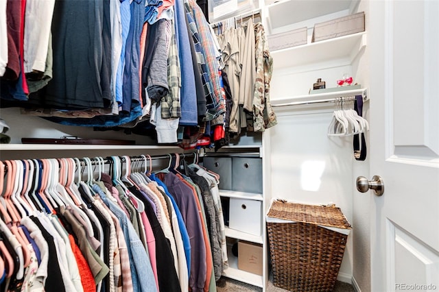 spacious closet featuring carpet