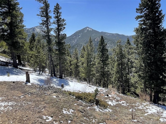 29600 Loomis Way, Golden, CO 80403
