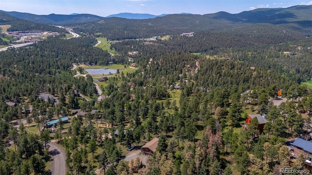 9629 Fallen Rock Rd, Conifer, CO 80433 - photo 35