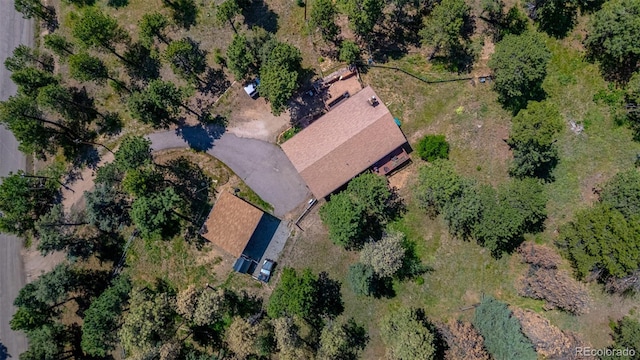 9629 Fallen Rock Rd, Conifer, CO 80433 - photo 37
