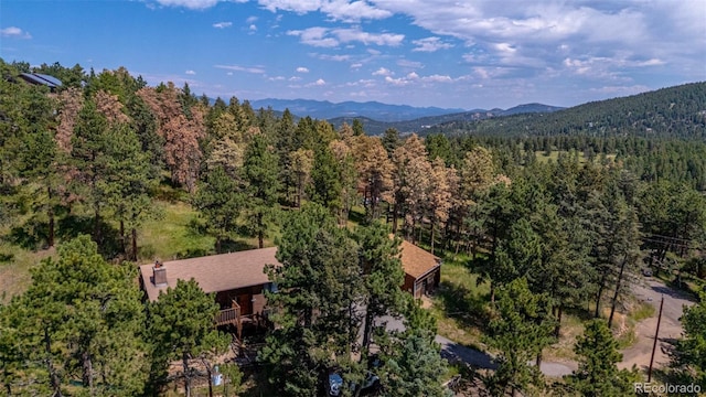 9629 Fallen Rock Rd, Conifer, CO 80433 - photo 42