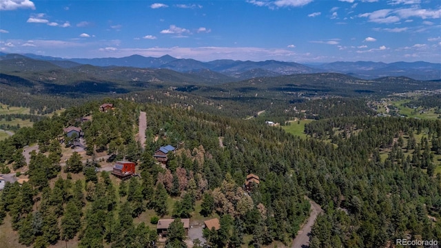 9629 Fallen Rock Rd, Conifer, CO 80433 - photo 43