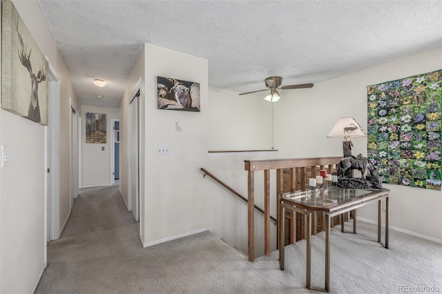 9629 Fallen Rock Rd, Conifer, CO 80433 - photo 11