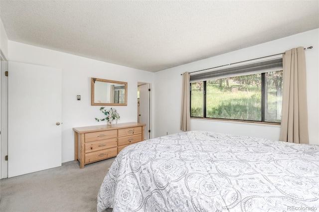9629 Fallen Rock Rd, Conifer, CO 80433 - photo 18