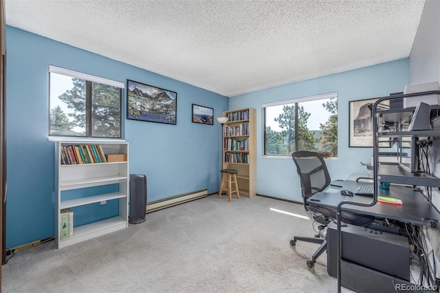 9629 Fallen Rock Rd, Conifer, CO 80433 - photo 20