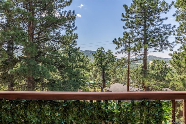 9629 Fallen Rock Rd, Conifer, CO 80433 - photo 26