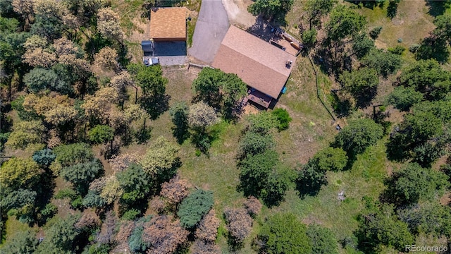 9629 Fallen Rock Rd, Conifer, CO 80433 - photo 34